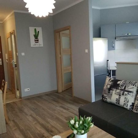 Appartement Apartament Edelmana à Gorzów Wielkopolski Extérieur photo