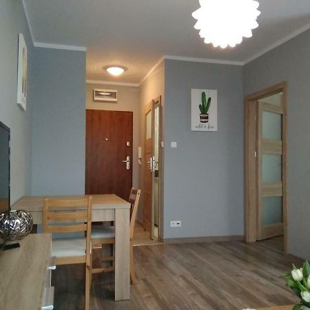 Appartement Apartament Edelmana à Gorzów Wielkopolski Extérieur photo